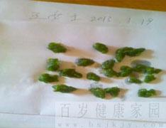 百岁健康家园
