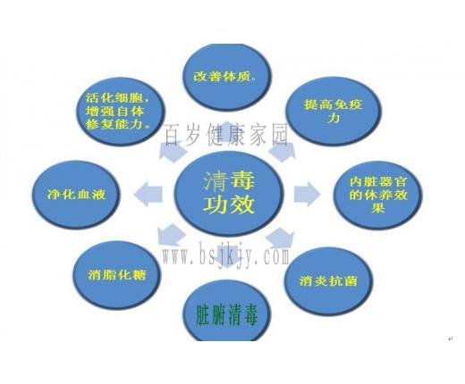 百岁健康家园