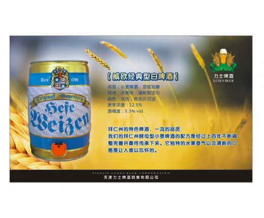 原装进口德国啤酒