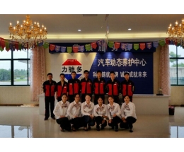 力驰多汽车养护