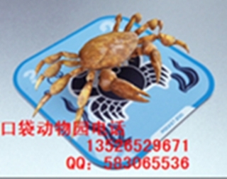 七彩魔轮开心磨盘