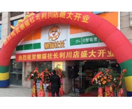 懒猫社长智能便利店