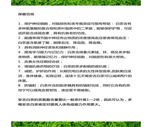 安吉高山白茶