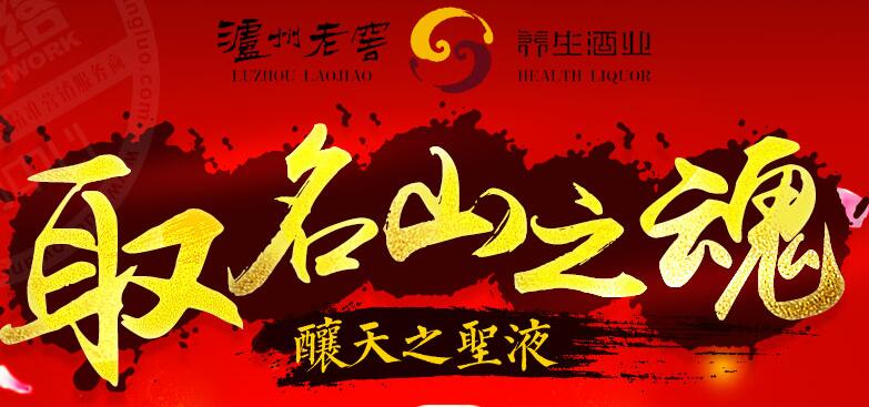 泸州老窖天之圣液酒