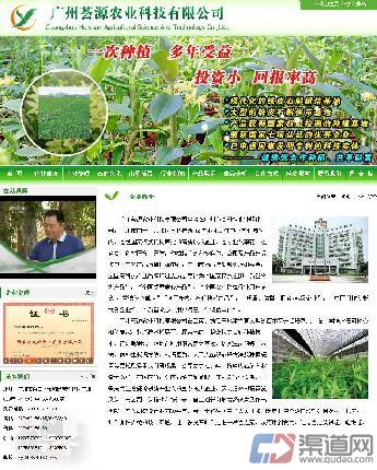 铁皮石斛加盟