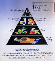 營(yíng)養(yǎng)素