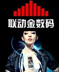联动金数码