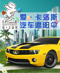 爱卡洛斯汽车遮阳伞