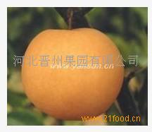 晋州果园加盟
