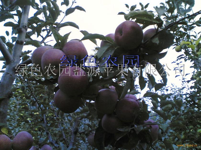 盐源加盟