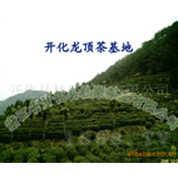 **茶加盟