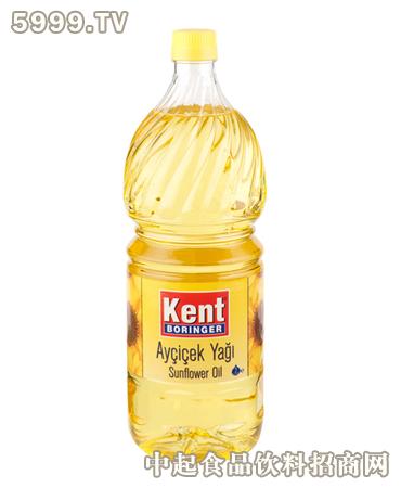 Kent加盟