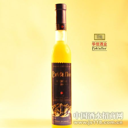 帕尼弗加盟
