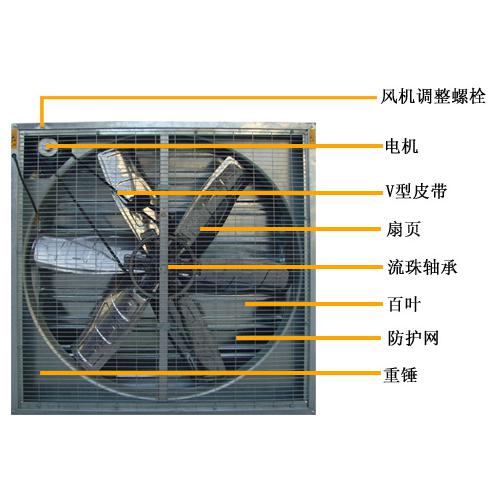 晟力德加盟