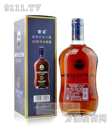 雷诺拿破仑加盟