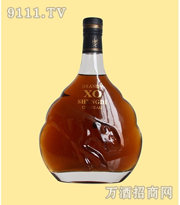 聖蒂加盟
