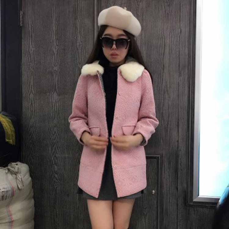 藻姿加盟