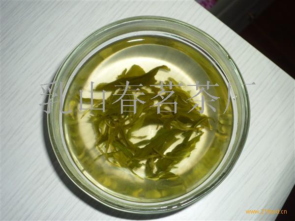 春茗绿茶加盟