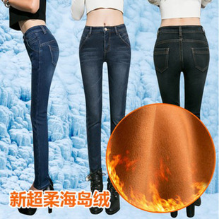 丽菁加盟