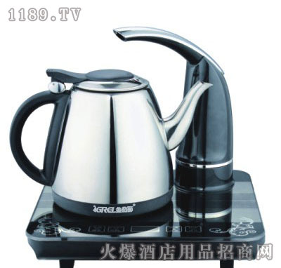 金格丽加盟