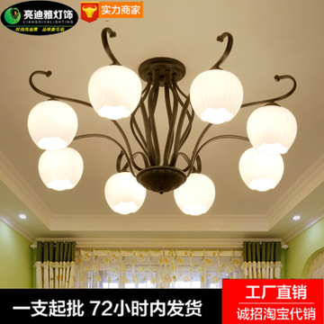 亮迪雅加盟