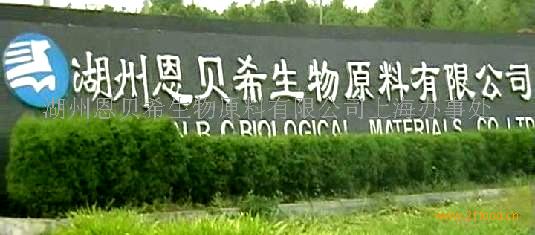 恩贝希加盟