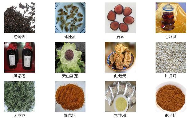 坚文加盟