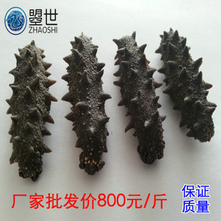 曌世加盟