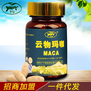 云物加盟