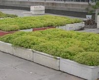 芙莱尔园艺加盟