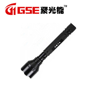 GSE加盟