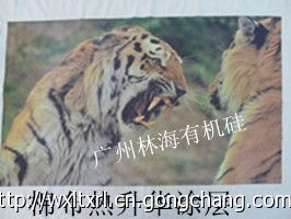 林海有机硅环保材料加盟