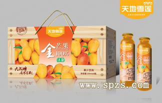 冰河食品加盟