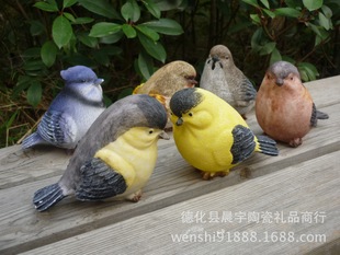 晨宇加盟