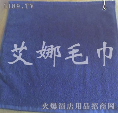 艾娜加盟