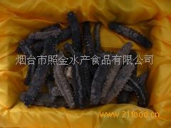 照金加盟