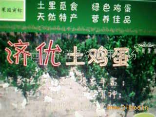 济优加盟