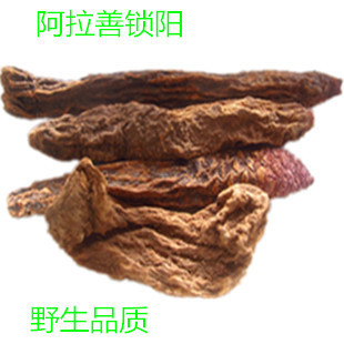 漠中宝加盟